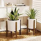 Bamworld Blumenhocker Outdoor Blumenständer Bambus Pflanzenhocker Indoor Blumentreppe Outdoor Wetterfest Blumenbank Für Draußen Blumenregal Balkon Teleskop Blumenregal Wohnzimmer