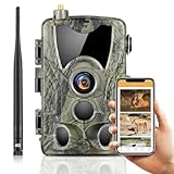 Recorcam Wildkamera 4G APP, 120 MP 4K, Wildtierkamera mit SIM-Karte, Telefon-Sende-Foto, Nachtsichtkamera 850nm IR LED, Wildkamera mit Bewegungsmelder Nachtsicht 120° Erfassungswinkel, IP65 (HC801Pro)