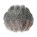 DHSBGWSX 100 Stück Perlenfedern, Braune Federn, Federhandwerk, Federdekoration, Perlhuhnfedern, Schmuckzubehör, DIY-Basteldekoration