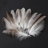 Cheerix 100 Stück Federn zum Basteln, Natürliche Feder Deko, Bastelfedern Deko, Bastelfedern für DIY Ohrring Hochzeit Traumfänger Kopfschmucksfedern, Entenfederfedern