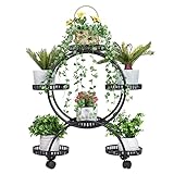 unho Blumentreppe für 6 Blumentöpfe, Blumenregal rollbar, Metall Pflanzenregal Pflanzentreppe für Indoor Outdoor