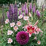 Bienenfreundliche Blumenzwiebeln Mix - Gemischtes Set für Bienen & Schmetterlinge (30 Zwiebeln) - Bienenwiese Sommerblumen - Insektenfreundlich bis 150cm - Blütezeit April bis September