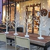 DELICHTER 4er Set Lichterbaum Lichterzweige für Innen 24 Warmweiß LEDs Bäumchen Birken Dekozweige Batteriebetrieb Weihnachtsdeko für Zuhause Party Geburtstag Hochzeit Innendekoration Tischdeko