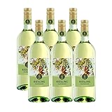 Sittmann Riesling halbtrocken (6 x 1,0l)