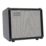 TS20 Bass Combo Amp -20W passend für Bassgitarre, mit 2 Jahren Garantie 6,5 Zoll Lautsprecher, mit Overdrive Schaltung und Mid-Scoop Contour Switch