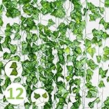 VFANDV Efeu Künstlich Girlande Deko Vorhang, 12 Stück Efeugirlande Künstlich, Efeu Girlande Kunstpflanze, Fake Plants Room Decor für Terrasse, Hochzeit Party, Weihnachten, Halloween Dekoration