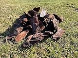 Pinienrinde 10-30, 30-70 und 70-100 mm Rindenmulch Pinien Rinde Bodenabdeckung 50 L Sack dekorativer Bodenbelag Gartenrinde Premium Dekor Neu (70-100 mm)