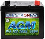Rasentraktor Batterie AGM Batterie 12V 30Ah AGM Akku für Rasenmäher Batterie 30 Ah Aufsitzmäher Rasenmähertraktor Plus Rechts U1R 330A Starterbatterie
