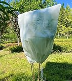 Pflanzen Winterschutz Frostschutz for Kübelpflanzen: 70g/m² B80 x H100 cm überwinterungszelt Pflanzenschutz mit Reißverschluss für Olivenbaum Palmen Reißfest Atmungsaktiv Waschbar UV Stabil Beige