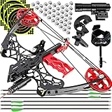 ZSHJGJR Compoundbogen Mini Stahlkugel 40lbs Set - Bogenschießen Pfeil Jagdbogen Stahl Ball Compound für Erwachsene Anfänger Jagd Sportbogen (Set 1)