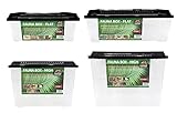 Terra Exotica Fauna Box Flat (Large, Small) oder Fauna Box High (Large, X-Large) - Transportbox für Reptilien, Amphibien,Mäuse - Kunststoffterrarium/Zuchtbox für Insekten (High, Large)