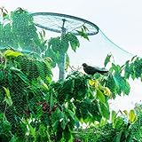 Vogelnetze Vogelschutznetz Stabil Gartennetze Katzennetz Teichnetz Feinmaschig Maschenweite 1.5x1.5cm für Bauernhöfe Weinbau und Obstgarten,2x10m