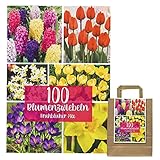 Blumenzwiebeln in Geschenkverpackung Zwiebeln, Knollen verschiedener winterharter Pflanzen für Garten und Balkon bunt, mehrjährig, für Topf und Beet (100 Blumenzwiebel Mix blau)
