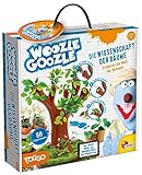 Lisciani - WOOZLE GOOZLE - Das Botanische Labor - Pädagogisches und Wissenschaftliches Spiel - Gewächshaus Zum Bauen - Pflanzen Zu Kultivieren - Für Kinder ab 8 Jahren