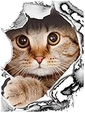 Jowxsx Niedliche lustige Katze Hund Toilettensitzbezug Deckel Aufkleber Badezimmer Wandkunst Dekoration Aufkleber Langlebig
