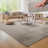 Paco Home Waschbarer Teppich Wohnzimmer Schlafzimmer Kurzflor rutschfest Flauschig Weich Moderne Einfarbige Muster, Grösse:120x170 cm, Farbe:Grau