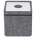 Terris CCS 282 Multiroom Lautsprecher mit W-LAN Streaming, Aux-In & Bluetooth Funktion - kompakte Sound-Anlage mit 10 Watt RMS Stereolautsprecher