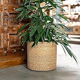 DARO DEKO Seegras Korb rund Natur Ø 35 x 33 mit Einsatz Blumentopf geflochten Aufbewahrungskorb Über-Topf Blumenkorb