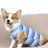 My Furry Friend Hunde-Chirurgie-Genesungsanzug für Hündinnen/Hündinnen | Haustier-Genesungsshirt | Welpen-OP-Kleidung Bauchwundschutz | Hunde-postoperative Weste (S, blau)
