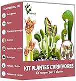 Mini-Komplettset, fertig zum Wachsen (Fleischfressende Pflanzen-Set)