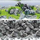 Juwel Aquarium - Poster 4 S - passend für Aquarien 60 x 30 cm