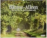 Bäume – Alleen 2018 – Wandkalender 52 x 42,5 cm – Spiralbindung: Tree Avenues; Les Allées d' Arbres