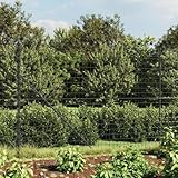 ShGaxin Maschendrahtzaun mit Bodenflansch Anthrazit 2x10 m, Volierendraht, Wühlmausgitter, Kaninchenzaun, Drahtzaun, Drahtgeflecht, Kaninchendraht, Geflügelzaun - 154310