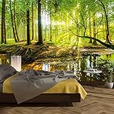 murimage® Fototapete Wald 366 x 254 cm inklusive Kleister Bäume Holz Sonne Natur Schlafzimmer Wohnzimmer