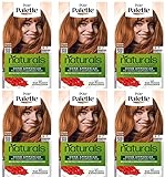 6x Palette Naturals Permanente Haarfarbe 9-7 Natürliches Kupfer pflegende Haarfarbe ohne Ammoniak, Coloration für bis zu 100% Grauabdeckung veganer Formel, 0% Silikonen 115 ml (6er Pack)